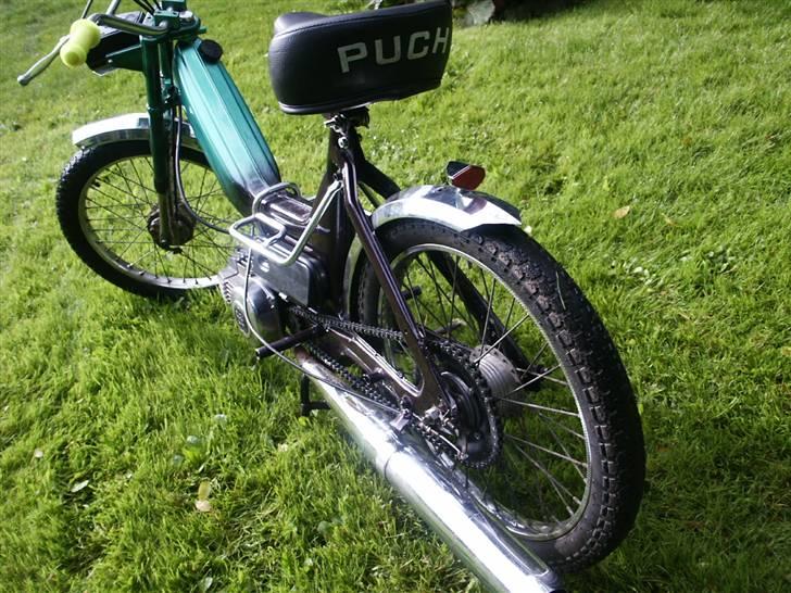Puch maxi k - søjde mårs, natur. billede 4