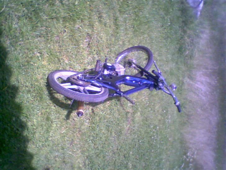 Puch maxi monza "TILSALG" billede 2