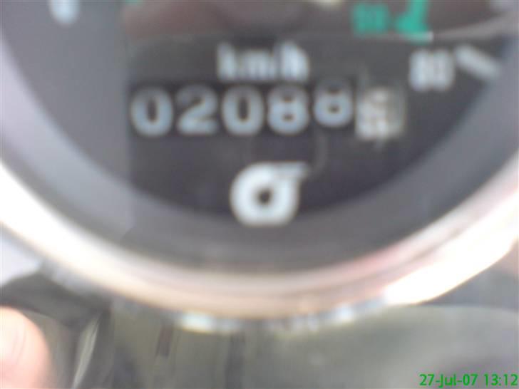 Jincheng Knight billede 3