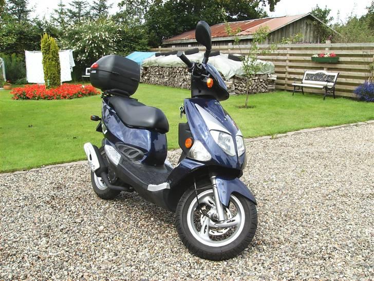 PGO T-Rex - Det er så min T-Rex billede 1