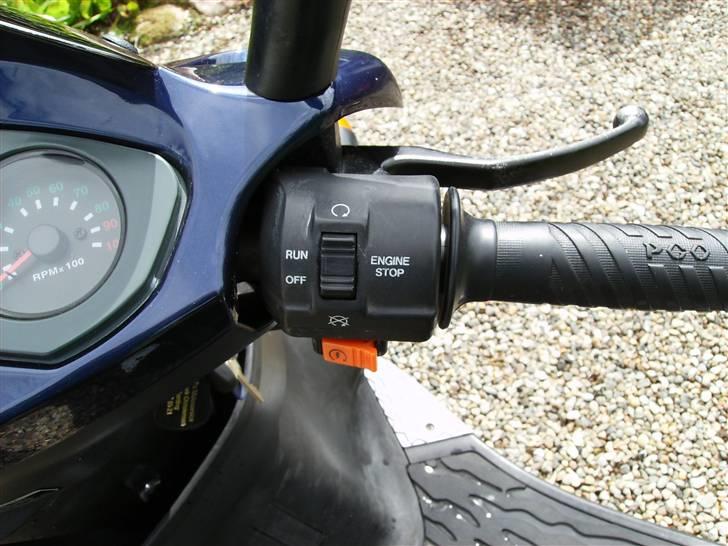 PGO T-Rex billede 10