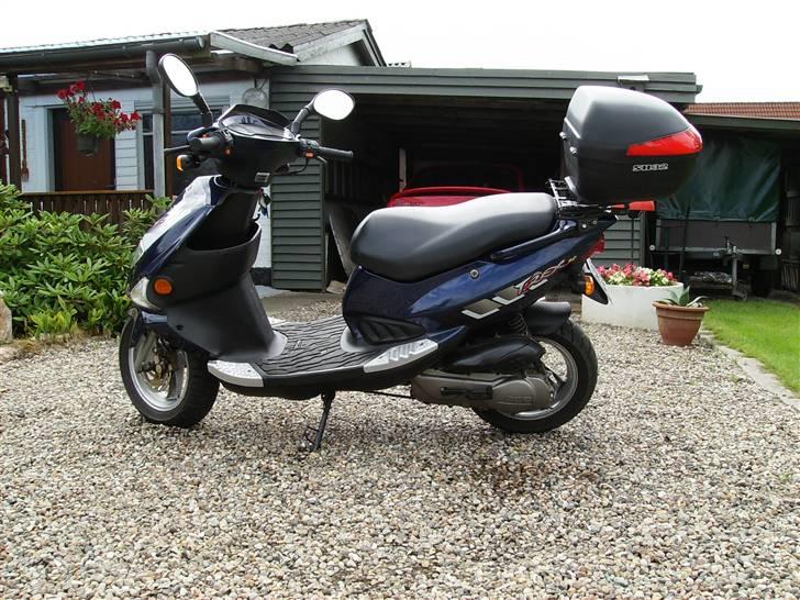 PGO T-Rex billede 12