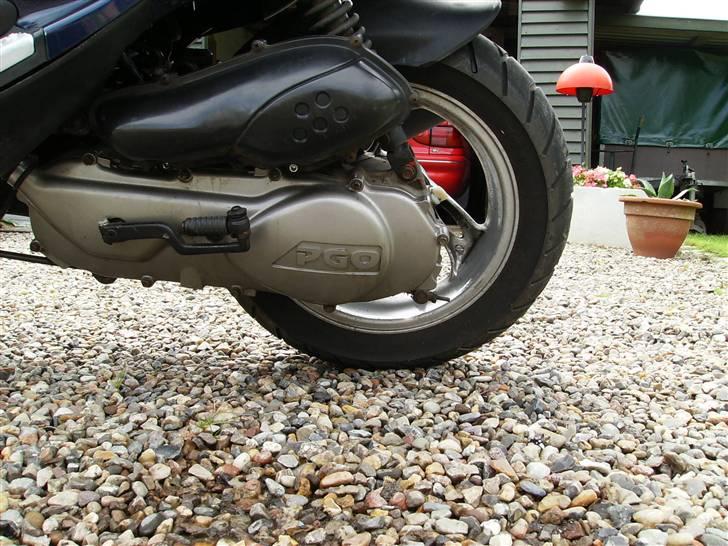 PGO T-Rex billede 14