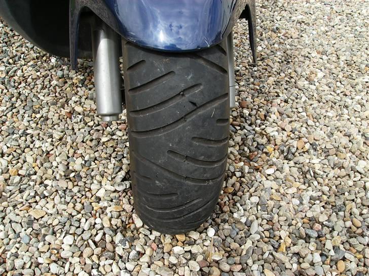 PGO T-Rex billede 15