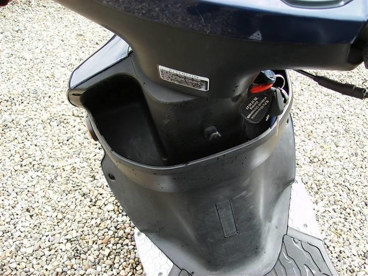 PGO T-Rex billede 16