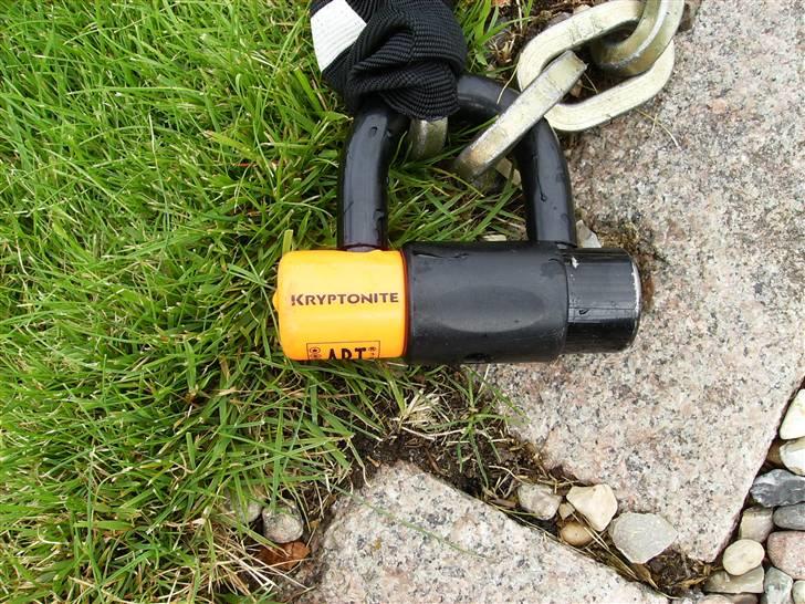 PGO T-Rex billede 19