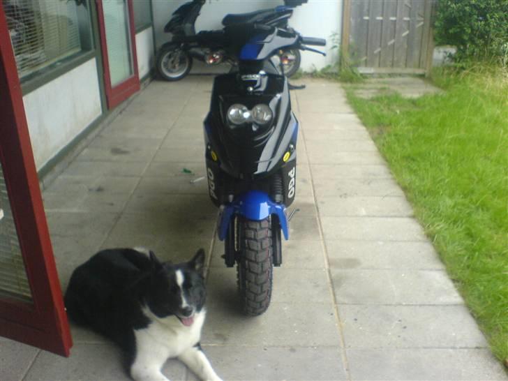 PGO Hot 50 billede 2