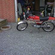 Suzuki Samurai DM50 SOLGT