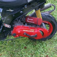 Piaggio zip project byttet