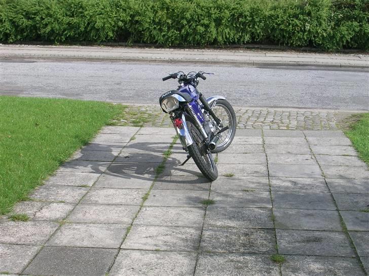 Puch monza 4g (solgt) - det er bare lækkert billede 1