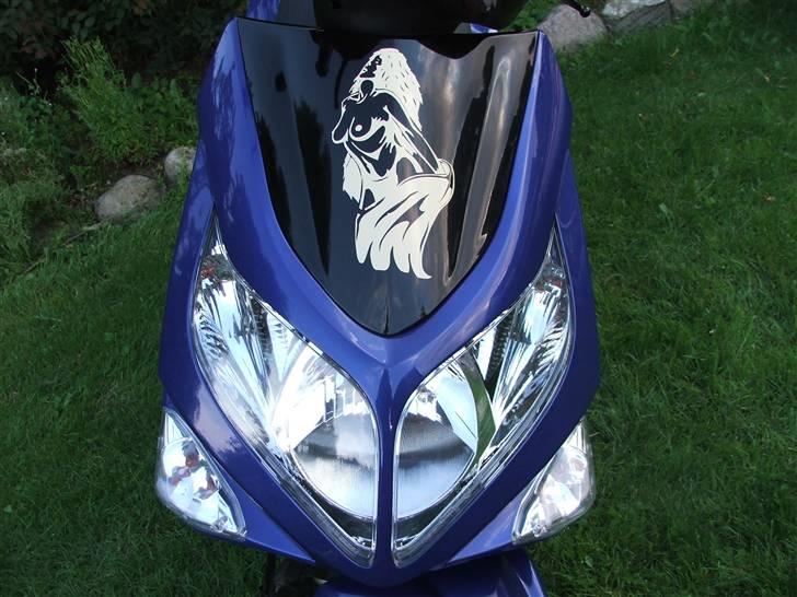 PGO ---- g-max------- - og det er tøs´en igen-   synes sku det ser meget godt ud-- billede 13