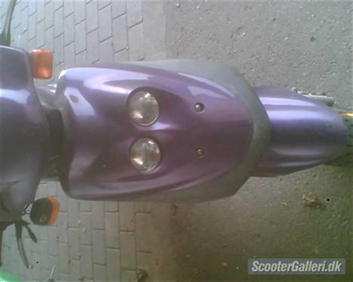 Adly cat 50(bytted til big) billede 6