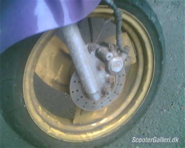 Adly cat 50(bytted til big) billede 7