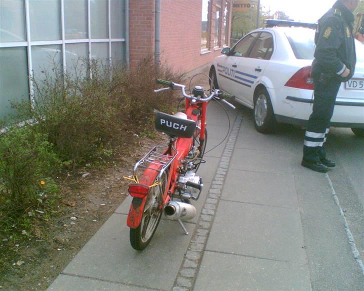 Puch maxi 125 ccm billede 4