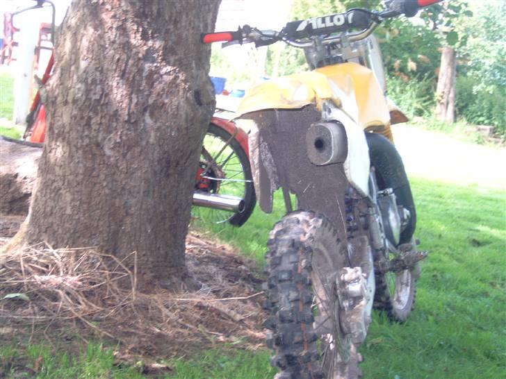Suzuki rm82 billede 1