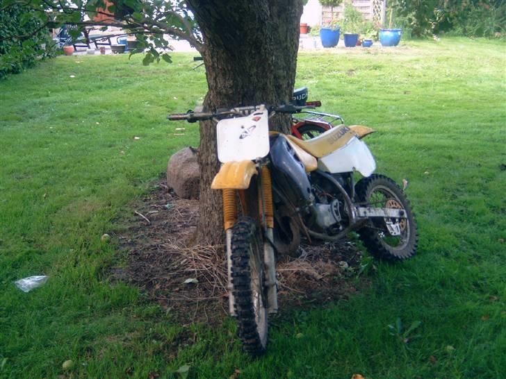 Suzuki rm82 billede 2