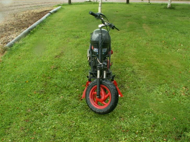 Piaggio zip project byttet billede 6