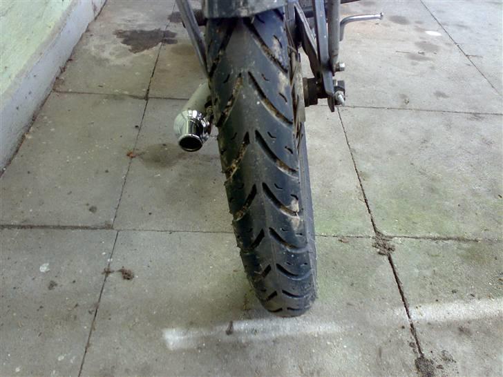 Puch Maxi "Byttet til Stalker" billede 8