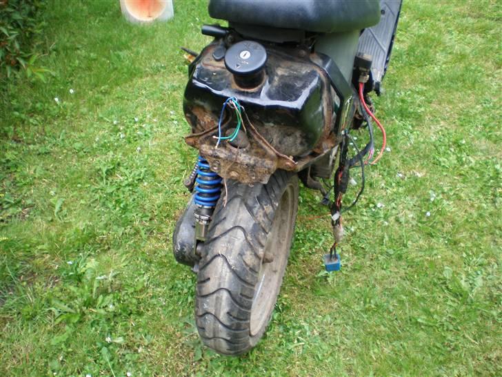 Adly cat 50(bytted til big).-) billede 1