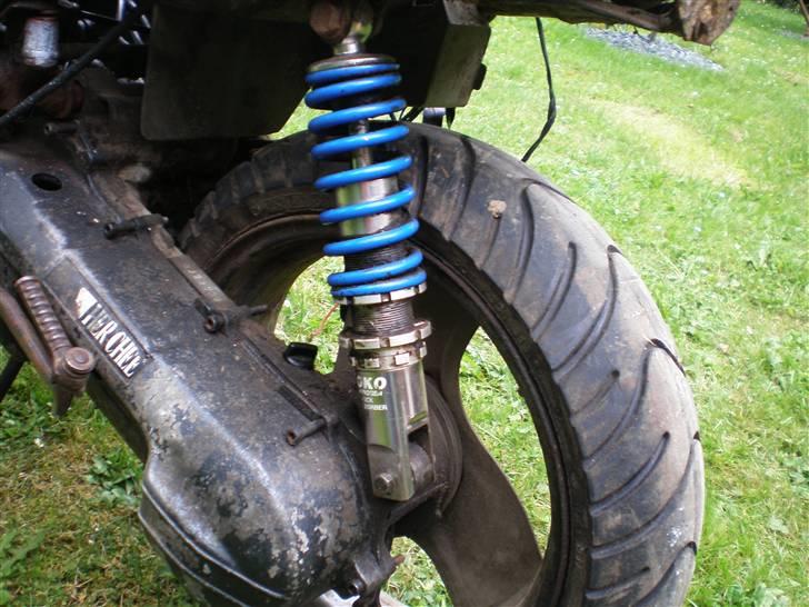 Adly cat 50(bytted til big).-) billede 2