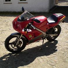 Cagiva Mito  Byttet til jog .
