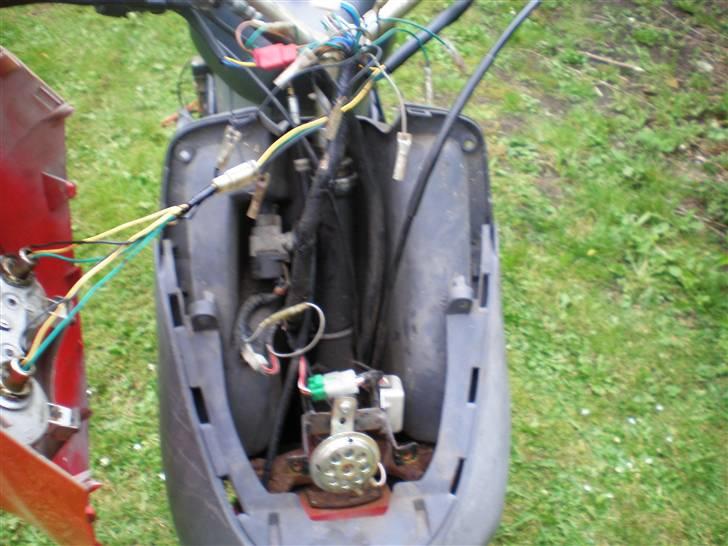 Adly cat 50(bytted til big).-) billede 5