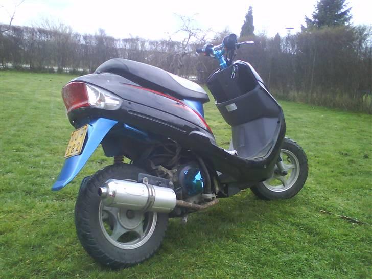 Texas Free 50/4 projekt sælges - som den så ud i febuar billede 1