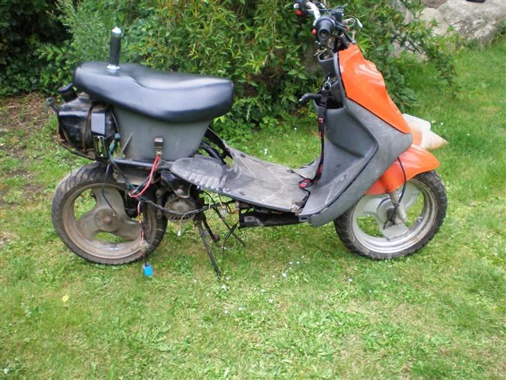 Adly cat 50(bytted til big).-) billede 6