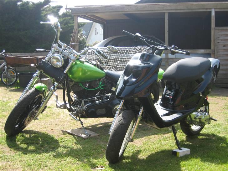 PGO Hot50 <'3  Byttet til smx - Min far´s harley og min hot :) billede 2