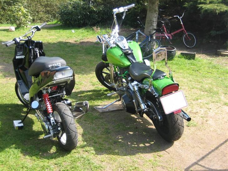 PGO Hot50 <'3  Byttet til smx - Min far´s harley og min hot :) billede 3