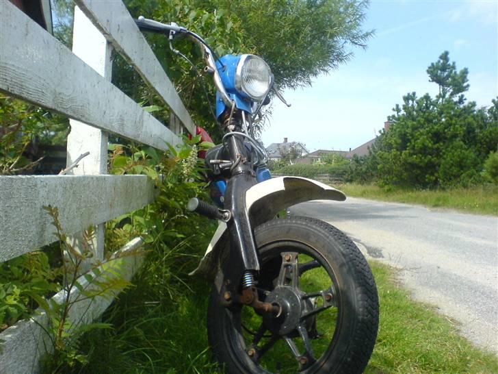 Suzuki fz 50 billede 5