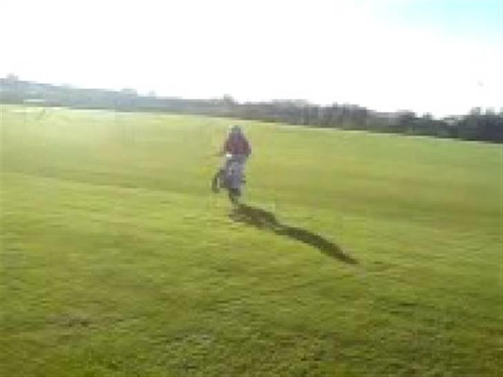 Suzuki FZ50 @ Mie Solgt - One wheel ;) billede 19