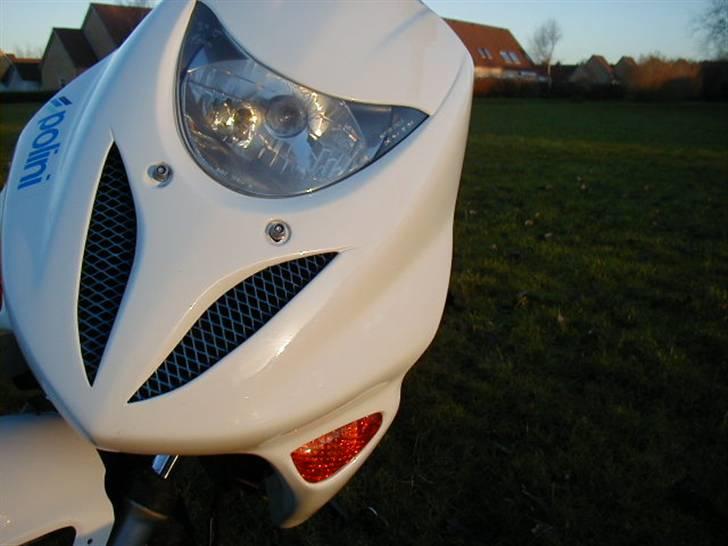 Adly Thunderbike (Fie) - Speedo og Grisetryne billede 5