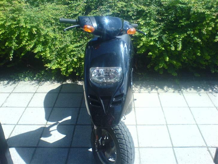 Piaggio typhoon ( solgt ) billede 1