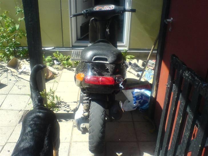 Piaggio typhoon ( solgt ) billede 9