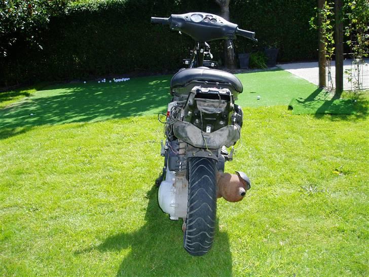 Piaggio nrg     (projekt) billede 2