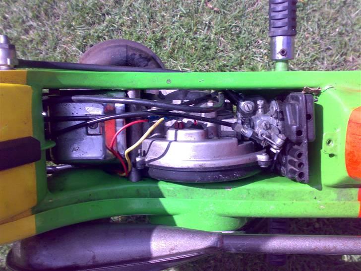 Vespa Rasta Ciao'en billede 6