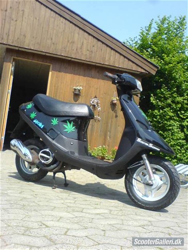 PGO Comet (solgt) billede 10