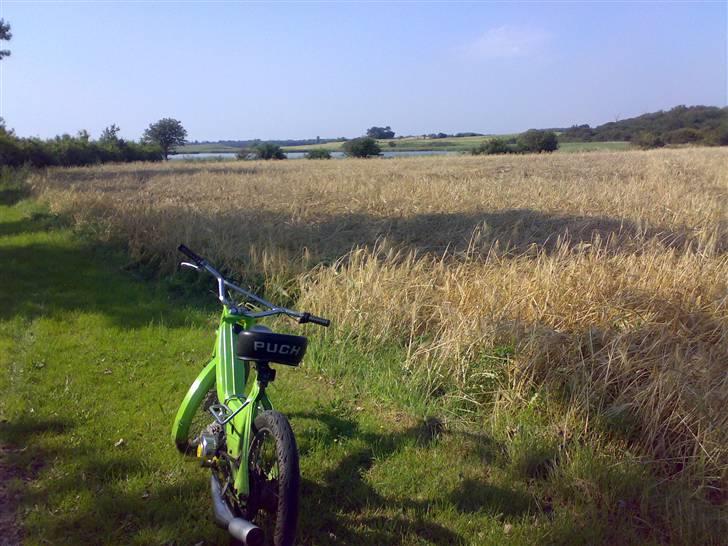 Puch K. Maxi billede 2