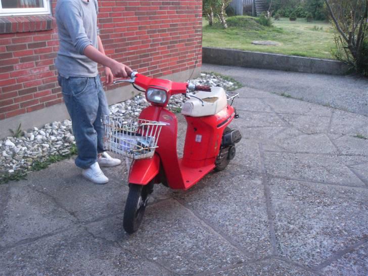 Honda melody billede 1