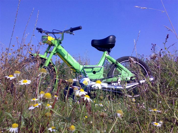 Puch K. Maxi billede 5