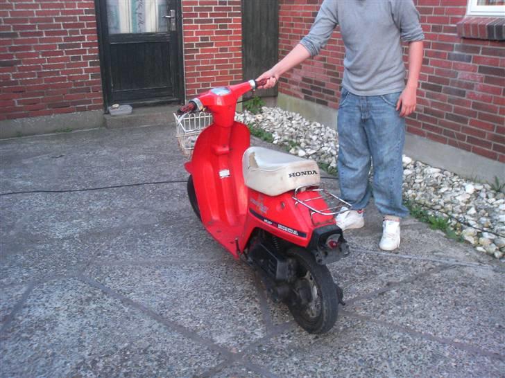 Honda melody billede 5