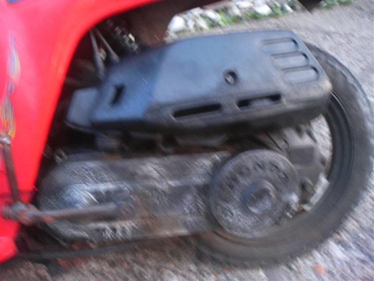 Honda melody billede 7