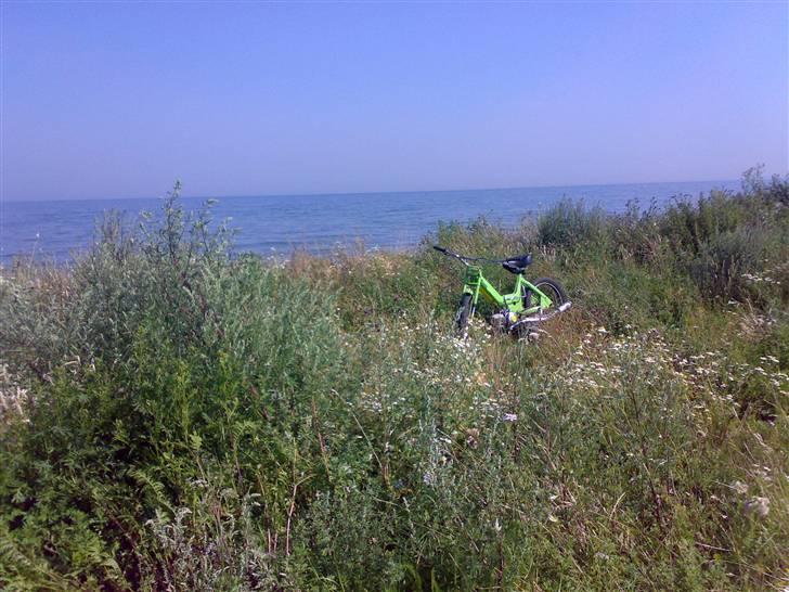 Puch K. Maxi billede 8