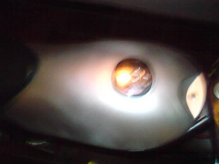 Suzuki street magic byttet billede 3