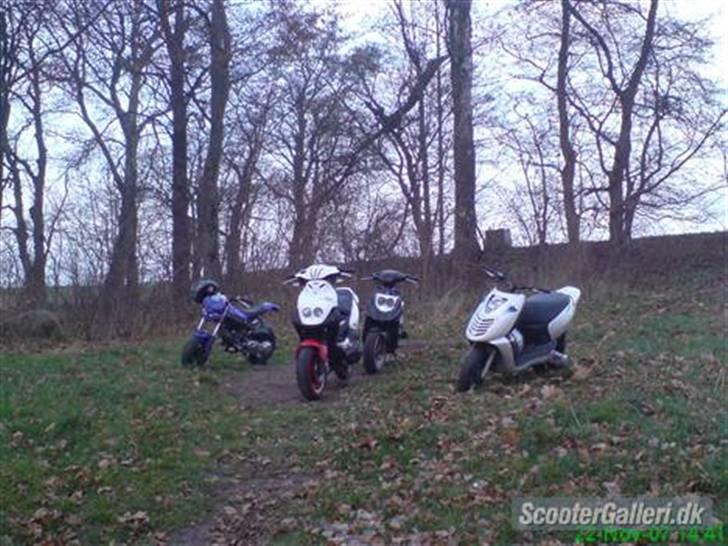 PGO Hot 50 - Solgt - hehe billede 15