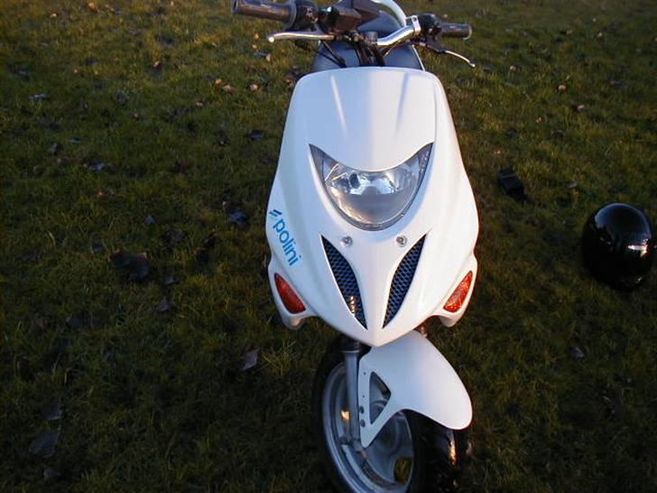 Adly Thunderbike (Fie) billede 6