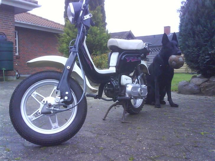 Suzuki fz50   solgt  - gammelt billed..  billede 1