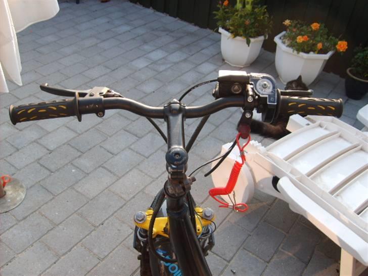 Suzuki Fz 50 (SOLGT) - som den står nu billede 2