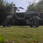 Suzuki Fz50 (SOLGT)